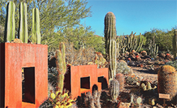 Eye catching CoreTen oxidized metal planters at the entrance to the Garden - credit Jason Wiley