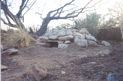 View of a rock-encased burrow