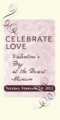 Celebrate Love - Valentine's Day at the Desert Museum - Tuesday, February 14, 2012
