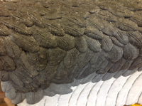 Close up of sculpted vulture wing