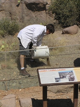 A Teen Volunteer spreads gravel in an exhibit