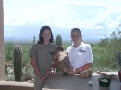 Jr. Docents at work