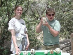 Jr. Docents at work
