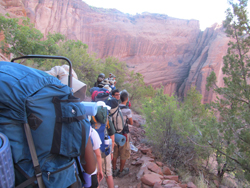 Group overlooking canyon