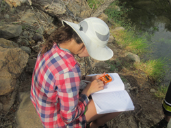 Group examining rock