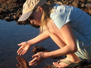 Tidepool Exploration