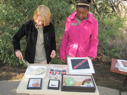 Jr. Docents at work