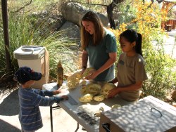 Jr. Docents at work