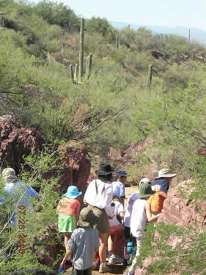 Desert Explorers