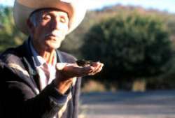 Ruben Coronado holding hummingbird in his hand