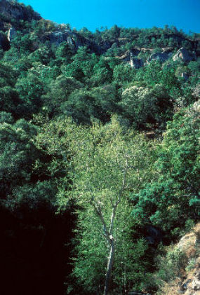 View of El Aguajito