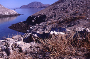 view from Cerraja Is., Baja California