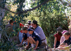 Mountain Woodland Exhibit