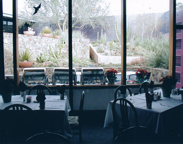 The Ocotillo Cafe