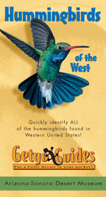 Cover: Hummingbirds of the West