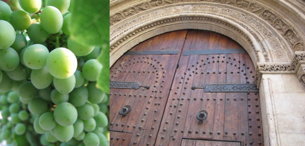 Bunch of grapes - Apostles' doors to Cathedral of Valencia