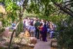 Thumbnail of dreamnight2016_Ray0007.jpg