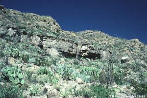 Chihuahuan Desert image gallery
