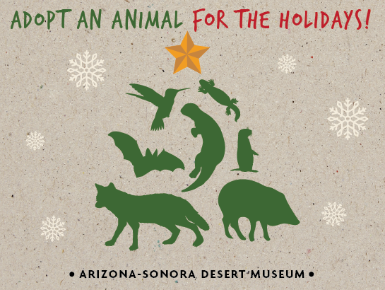 Adopt an Animal for the Holidays
