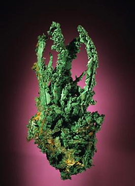 Green Plant