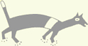 Coyote graphic