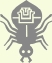 Spider graphic
