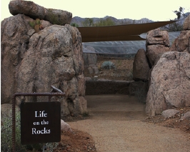 Life on the Rocks