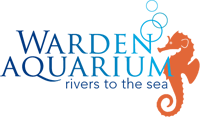 Warden aquarium, rivers to the sea