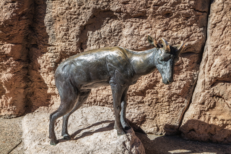 mark_rossi_big_horn_sheep.jpg