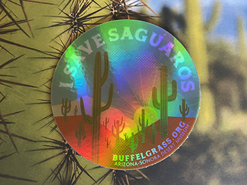 Holographic I Save Saguaros sticker in front of a saguaro