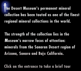 The Desert Museum's permanent mineral collection has been touted as one of the finest regional mineral collections in the world.