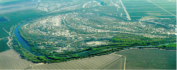 Colorado River Riparian Corridor