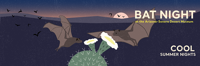 Bat Night graphic