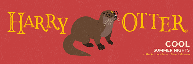 Harry Otter graphic