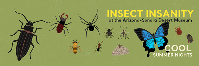 Insect Insanity graphic