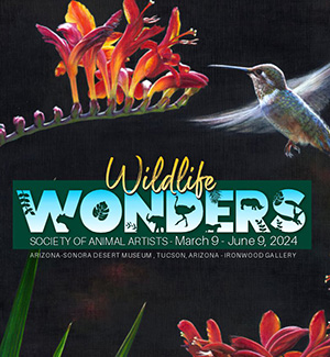 wildlife wonders exhibition graphic