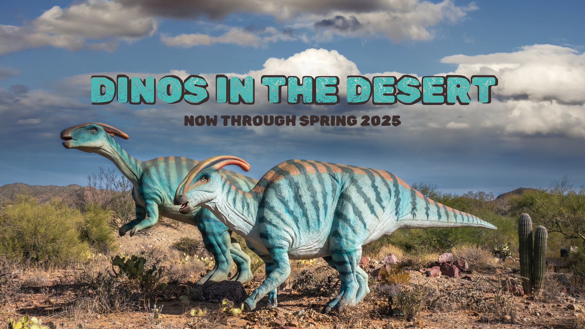 Arizona-Sonora Desert Museum, Tucson, AZ - Zoo, Botanical Garden