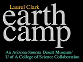 Earth Camp