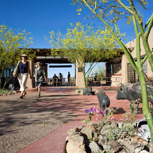 The Museum's front patio