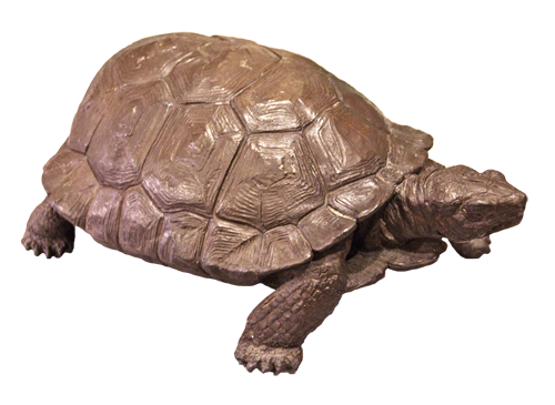 Tortoise Sculpture