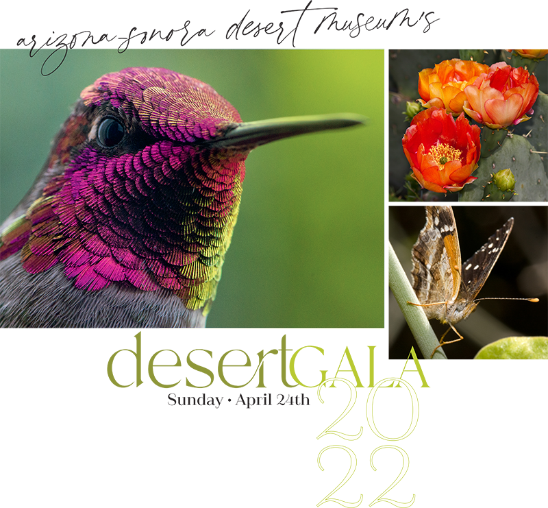 2022 Virtual Desert Gala - Sunday, April 24, 2022