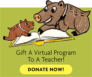 Gift a Virtual Program to a Teacher! Domnate Now!