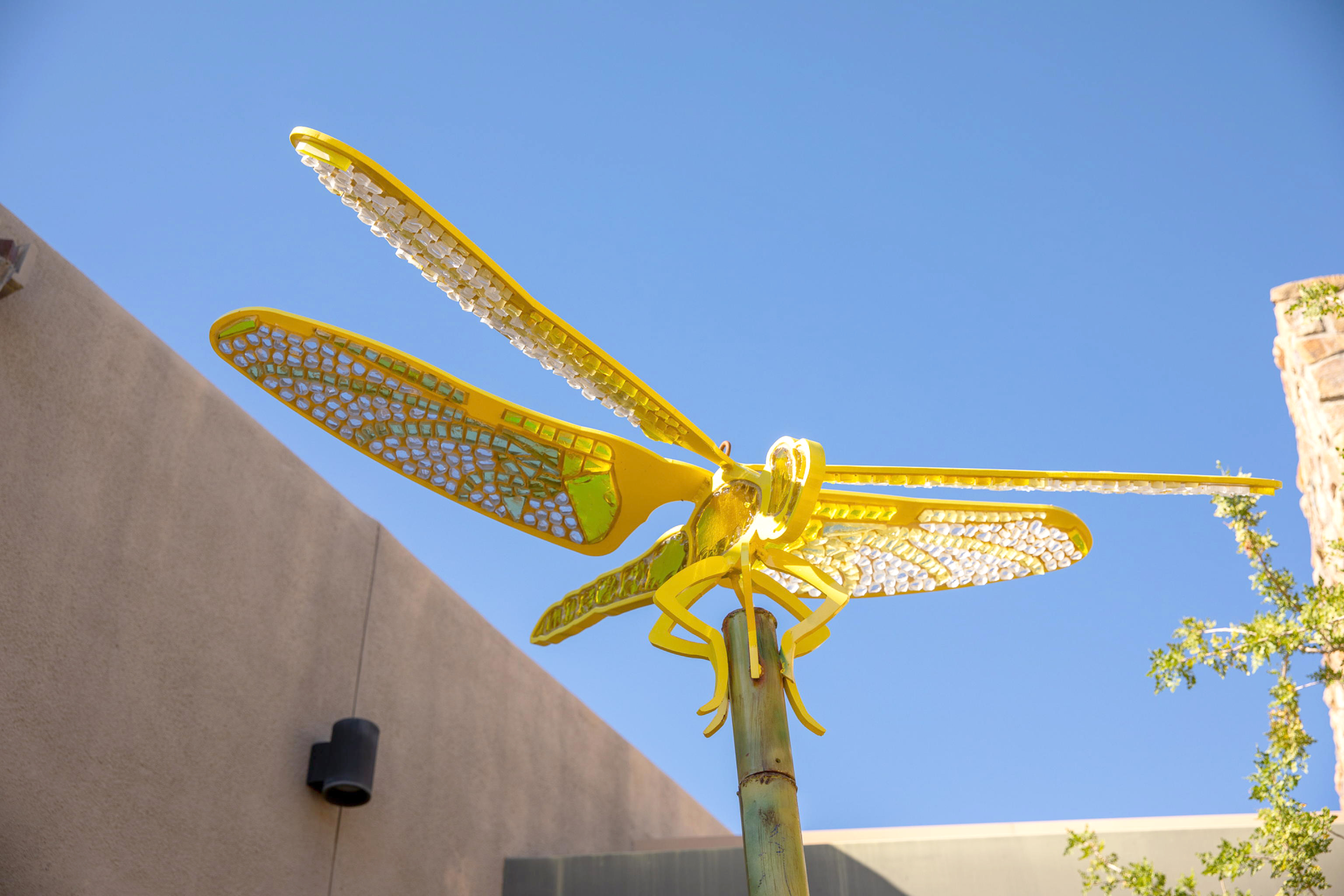 09_yellowdragonfly.jpg