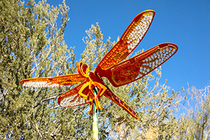 Orange dragonfly