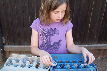 Minerals in egg carton