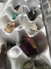 Minerals in egg carton