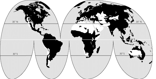 Illustration of the World - projected