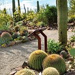 Arizona-sonora Desert Museum Hours