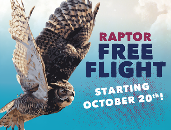 Raptor Free Flight