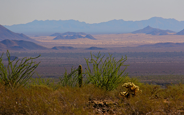 Lava field at Pinacate Biosphere Reserve